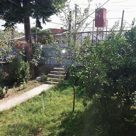 Beruka Guest House Kutaisi Bagian luar foto